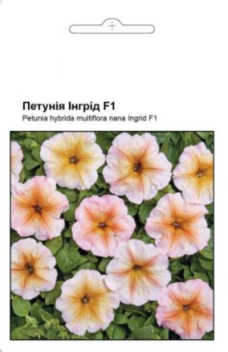 Петунія Інгрід F1 10 гранул СЦ