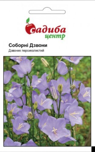 Дзвоник персиколистий Соборні Дзвони 0,2г СЦ