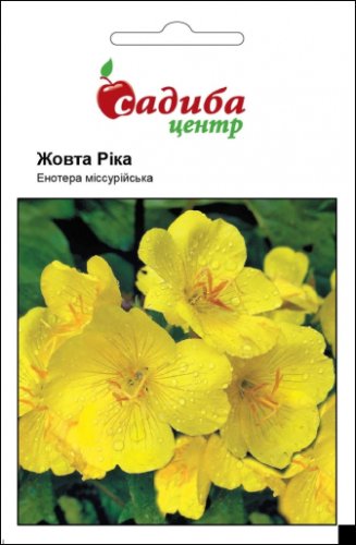 Енотера місурійська Жовта Ріка 0,2г СЦ схожість 47% 12.2025р