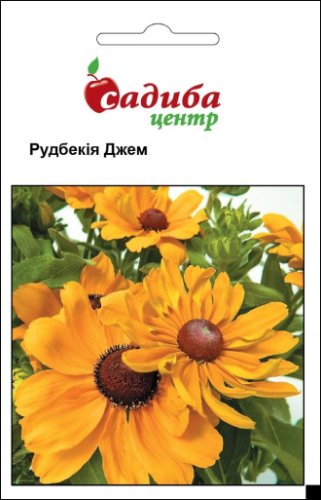 Рудбекія Джем 0,2г 04.2024р СЦ 85% схожість