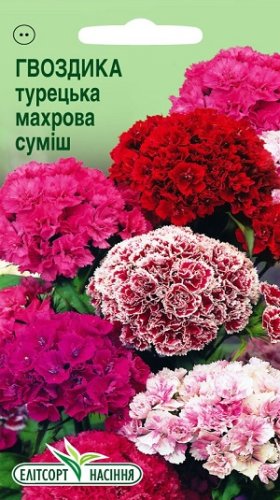 Гвоздика Турецька махрова суміш 0,2г