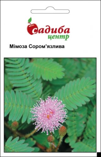 Мімоза сором'язлива 0,2г 09.2024р СЦ