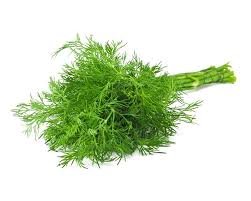 Кріп Амброзія Україна