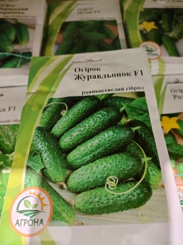 ПРОФ Огірок Журавльонок F1 3г 2025р Агрона