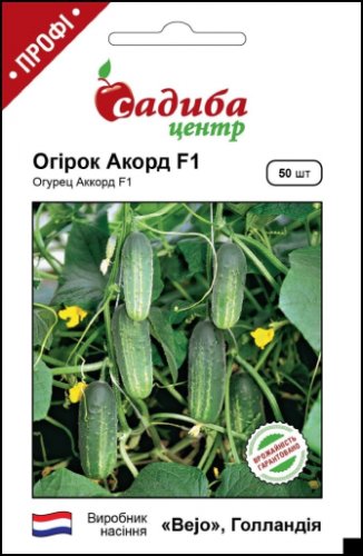 ПРОФ Огірок Акорд F1 50 нас. СЦ