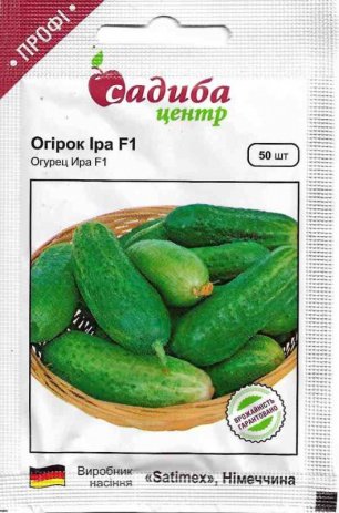 ПРОФ Огірок Іра F1 50 нас. СЦ