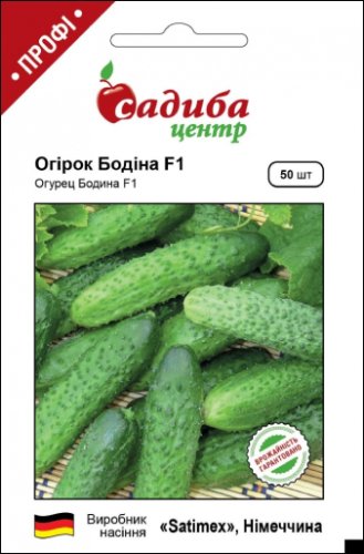 ПРОФ Огірок Бодіна F1 50 нас. СЦ