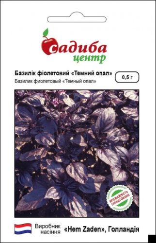 Базилік фіолетовий Темний опал 0,5г. 09.2024р СЦ