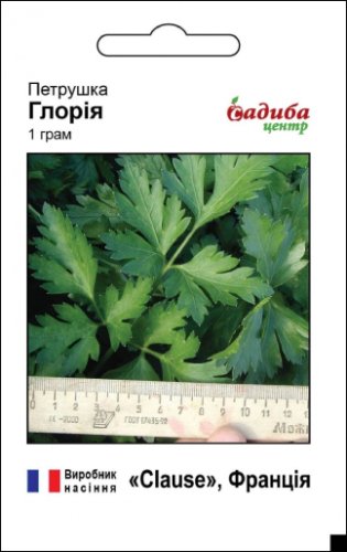 Петрушка Глорія листова 1г. 2025р СЦ
