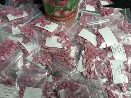 Кавун Чарльстон Грей пакет зіп 10г GSN