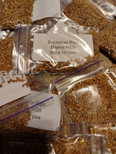 Баклажан Віра пакет зіп 10 грам Україна