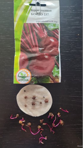 Буряк Бордо 237 3г 70% схожість Агрона 12.2023р