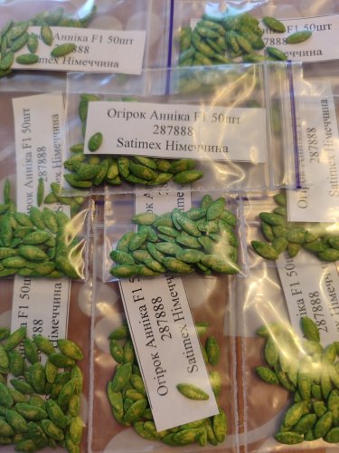 Огірок Анніка F1 пакет зіп 50 нас. Satimex Німеччина