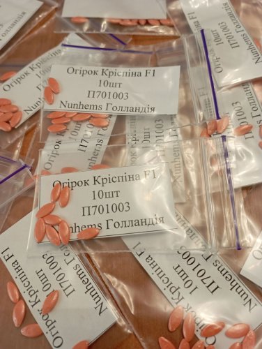 Огірок Кріспіна F1 пакет зіп 10 нас. Nunhems Нідерланди