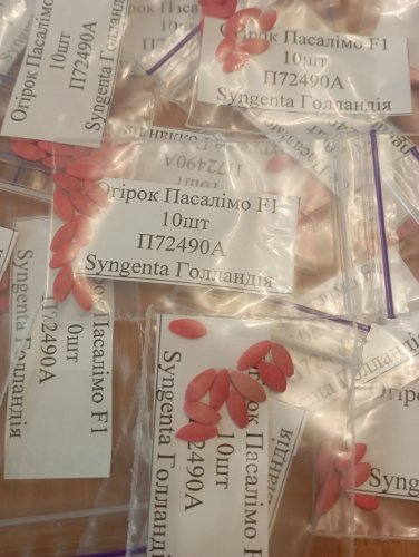 Огірок Пасалімо F1 пакет зіп 10 нас. Syngenta Нідерланди