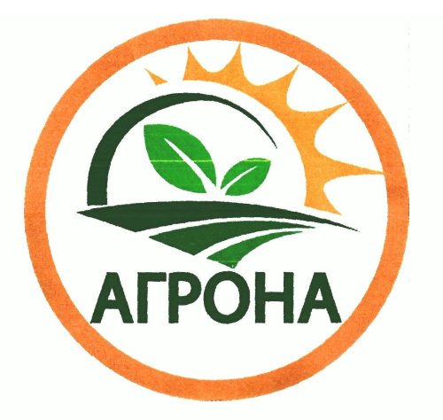 Огірок Руфус F1 0,5г 2023р Агрона