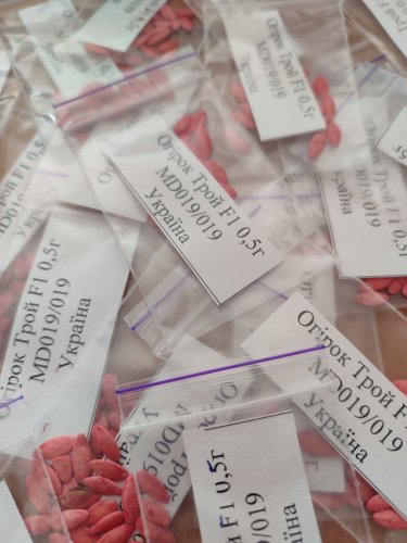 Огірок Трой F1 пакет зіп 0,5г Україна