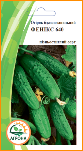 Огірок Фенікс 640 1г 2023р Агрона