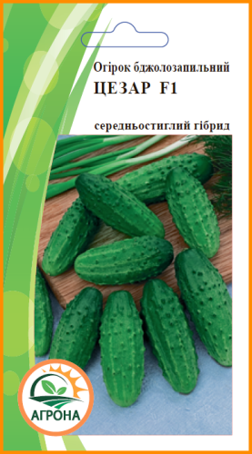Огірок Цезар F1 0,5г 2023р Агрона