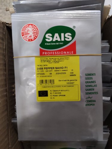 Перець Савіо F1 100 нас Sais (Італія)