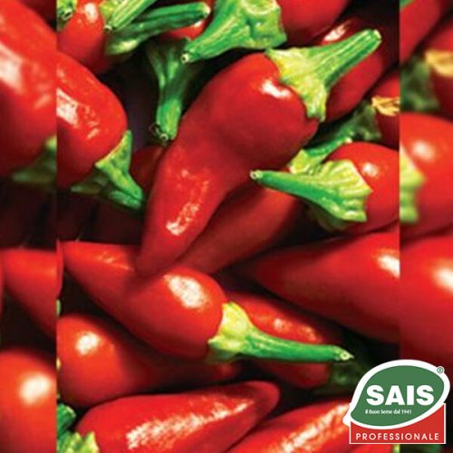 Перець гіркий Джапо F1 100 нас (Sais) Італія