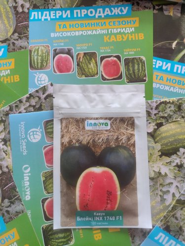 Кавун БЛЕЙКІ (INX 1748) F1 100 нас INNOVA Україна