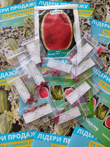 Кавун МОНРО (INX 1723 F1) 10 нас INNOVA Україна