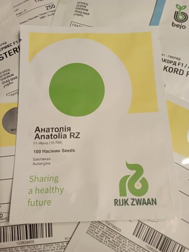 Баклажан Анатолія F1, 100 шт., Rijk Zwaan