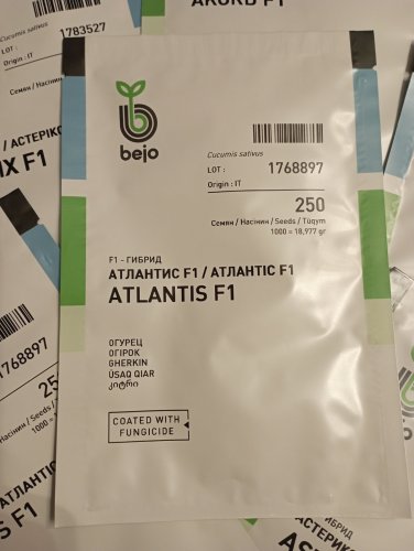 Огірок Атлантіс F1, 250 шт., Bejo Zaden