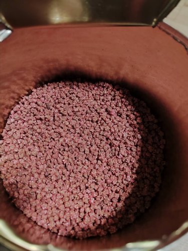 Буряк Єгипетський плоський пакет зіп 10г GSN