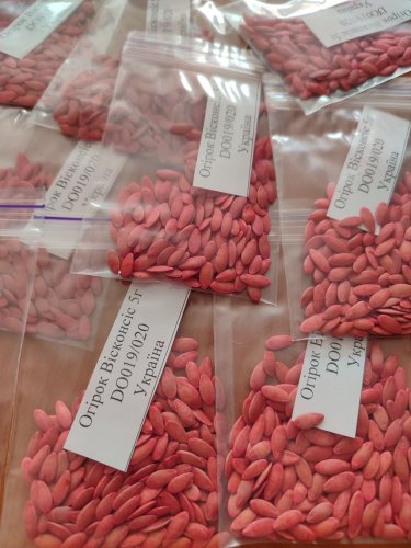 Огірок Вісконсіс пакет зіп 5г Україна