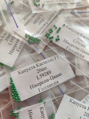 Капуста Кастелло F1 пакет зіп 20 нас.Nickerson- Zwaan (Голландія)