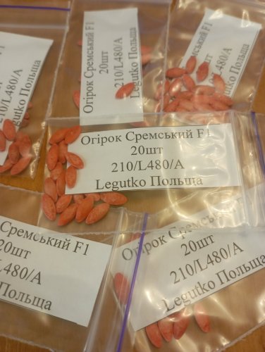 Огірок Сремський F1 пакет зіп 20 шт. Legytko Польща