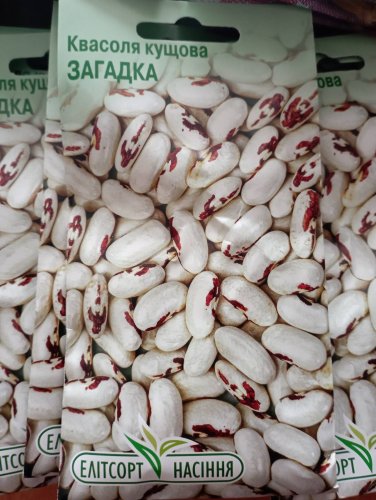 Квасоля кущова Загадка 15шт  Елітсортнасіння