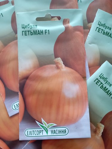Цибуля Гетьман F1 1г  ОБРОБЛЕНА