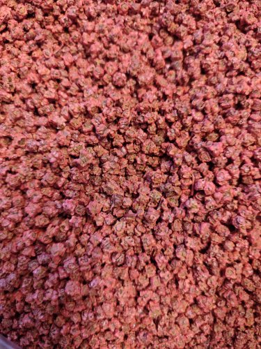 Буряк Кадет зіп пакет 10г Satimex