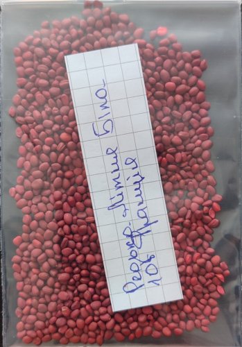 Редька Літня Біла зіп пакет 10г GSN Франція 