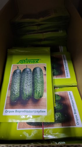 Огірок Воргебірдштраубен F1 250 нас Satimex 