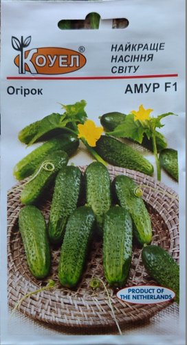 Огірок Амур f1 10 нас Коуел