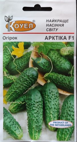 Огірок Арктіка f1 10нас Коуел