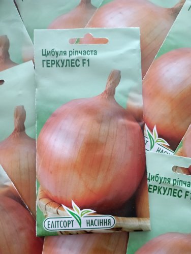Цибуля Геркулес 1г 12.2027р