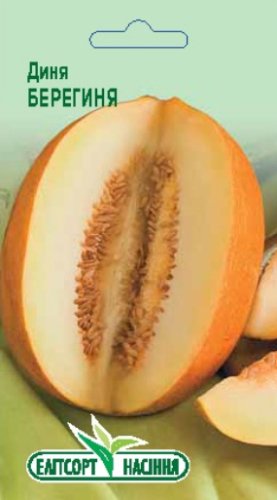 Диня Берегиня 2г 2025р