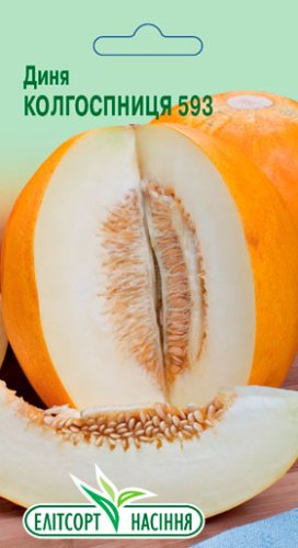 Диня Колгоспниця 2г 12.2032р