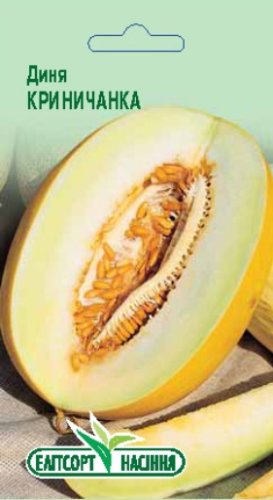 Диня Криничанка 2г
