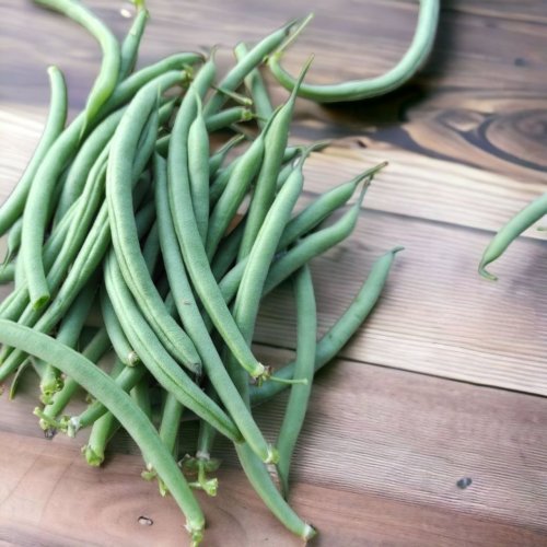 Квасоля спаржева ВЕРА 20г INNOVA Україна