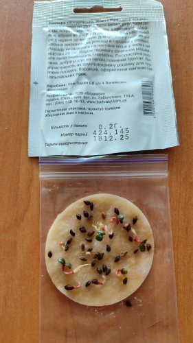 Енотера місурійська Жовта Ріка 0,2г СЦ схожість 47% 12.2025р