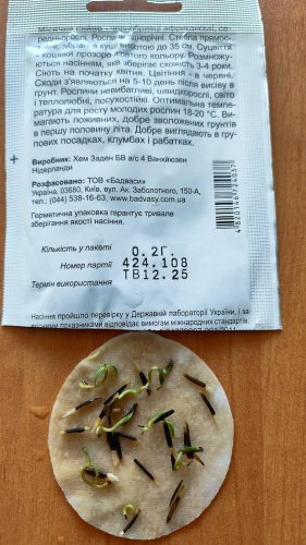 Чорнобривці Місячне Сяйво 0,2г. СЦ схожість 64% 12.2025р