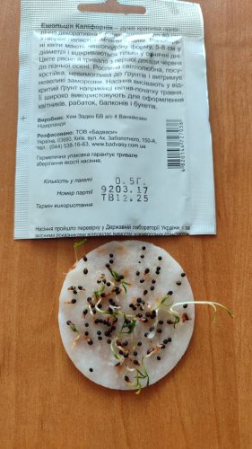 Ешольція Каліфорнія суміш 0,5г СЦ 55%схожість 12.2025р