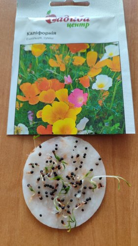 Ешольція Каліфорнія суміш 0,5г СЦ 55%схожість 12.2025р