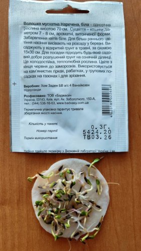 Волошка Наречена біла 0,3г СЦ 03.2026р